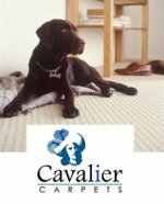 Cavalier Carpets